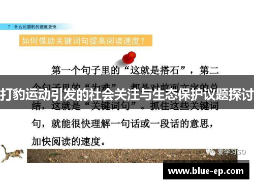 打豹运动引发的社会关注与生态保护议题探讨