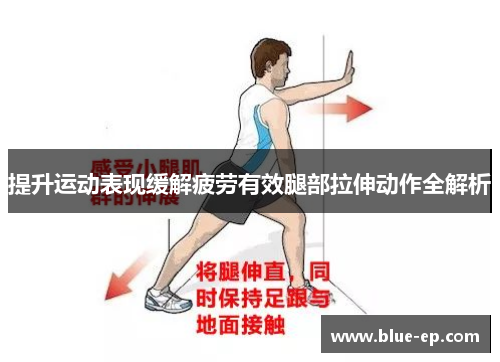 提升运动表现缓解疲劳有效腿部拉伸动作全解析
