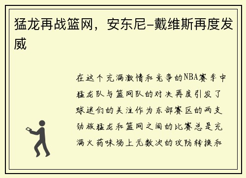 猛龙再战篮网，安东尼-戴维斯再度发威
